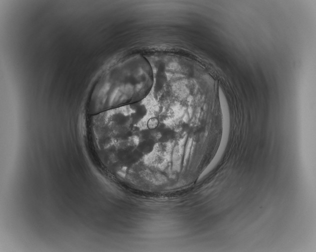 X0000115130734200911241445