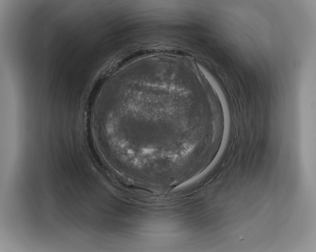 X0000115130735200911241445