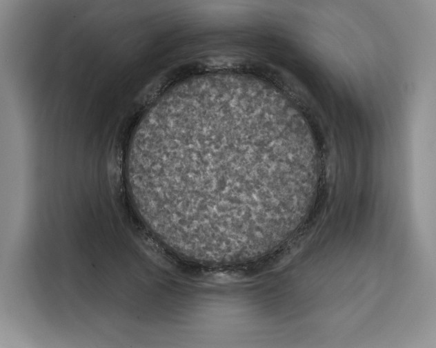 X0000115130737200911241445