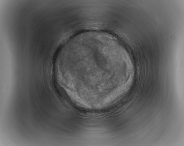 X0000115130739200911241445