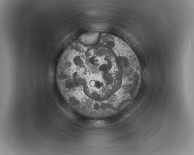 X0000115130741200911241445