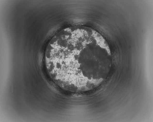 X0000115130742200911241445