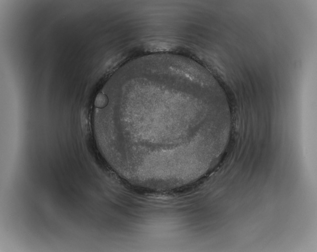 X0000115130743200911241445