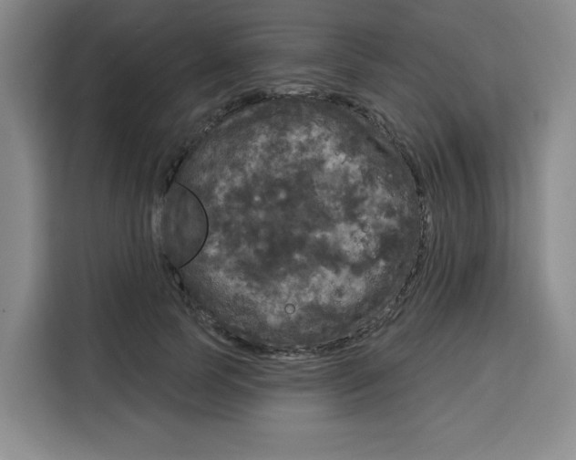 X0000115130745200911241445
