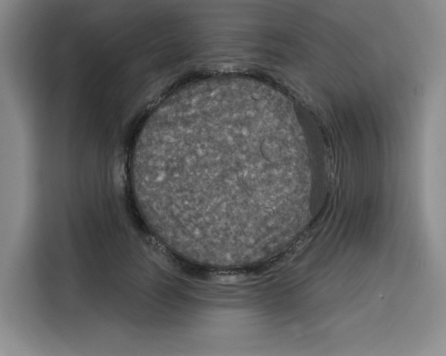 X0000115130746200911241445