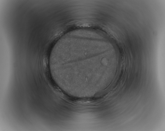 X0000115130747200911241445