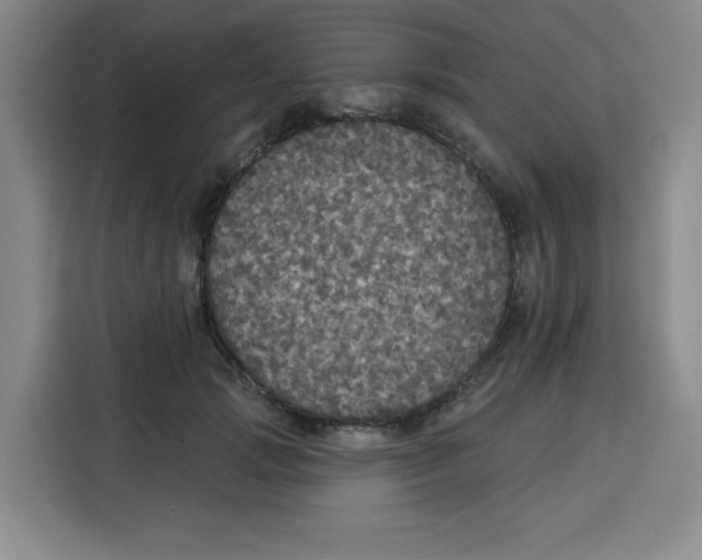 X0000115130749200911241445