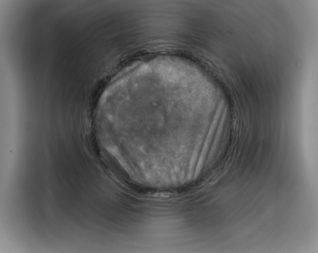 X0000115130751200911241445