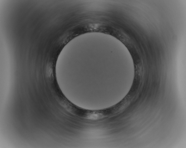 X0000115130754200911241445