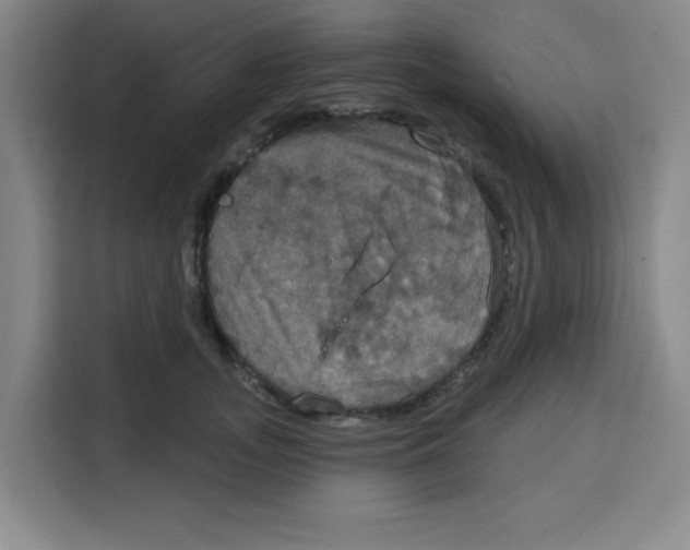X0000115130755200911241445