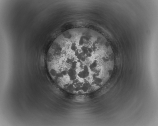 X0000115130757200911241445