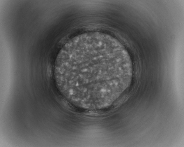 X0000115130758200911241445
