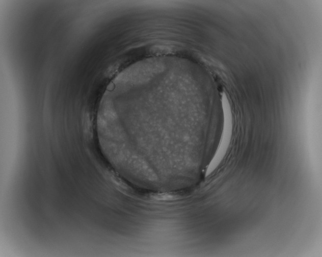 X0000115130759200911241445