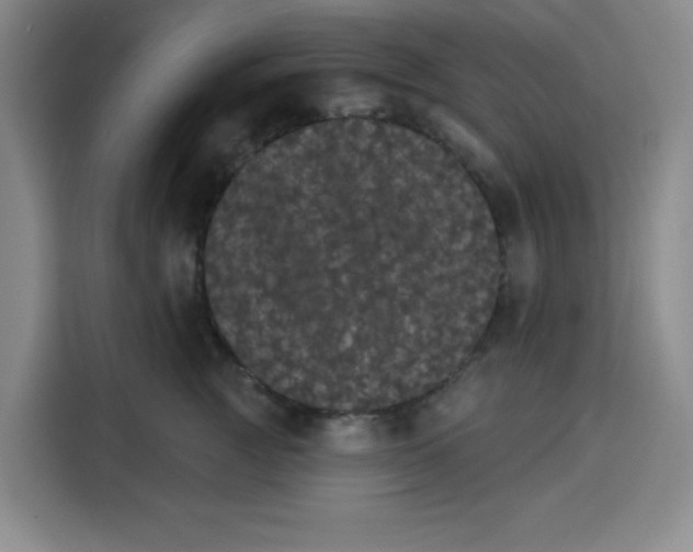X0000115130761200911241445