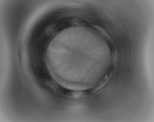 X0000115130762200911241445