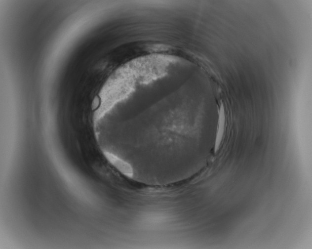 X0000115130763200911241445