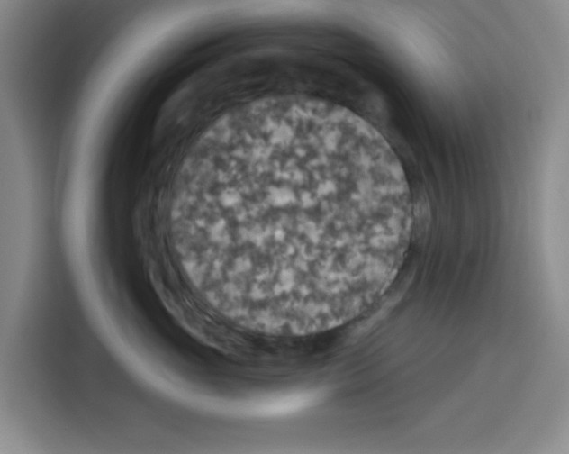 X0000115130765200911241445