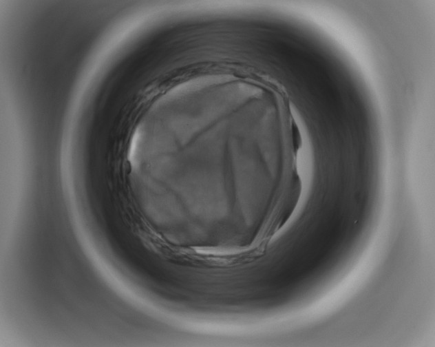X0000115130766200911241445