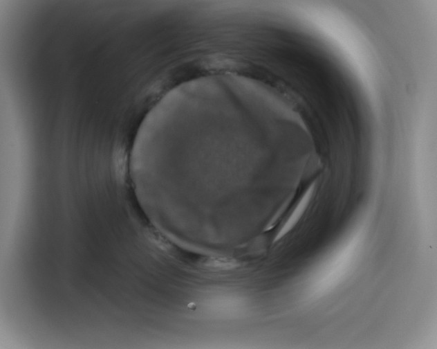 X0000115130767200911241445