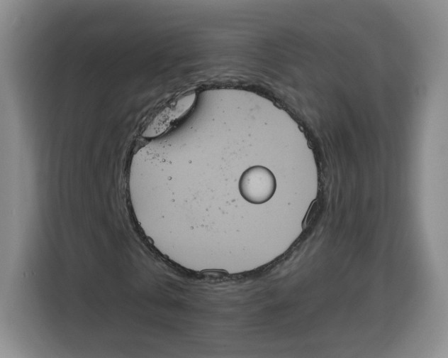 X0000115130769200911241445