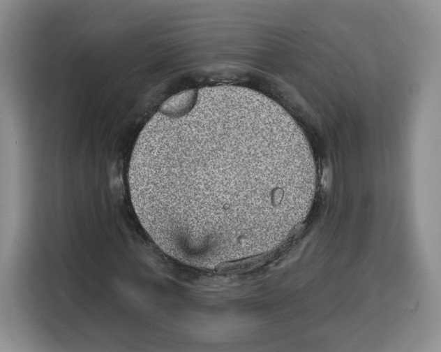 X0000115130771200911241445
