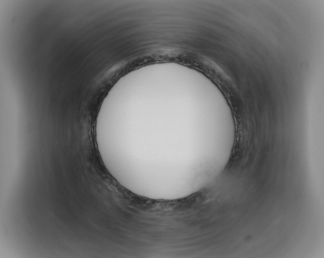 X0000115130773200911241445