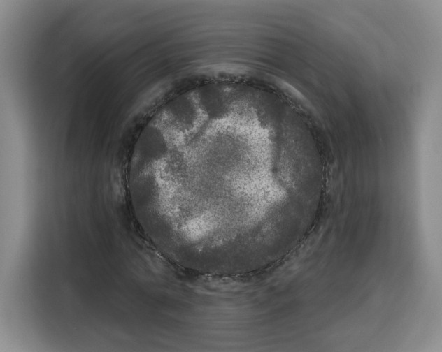 X0000115130774200911241445