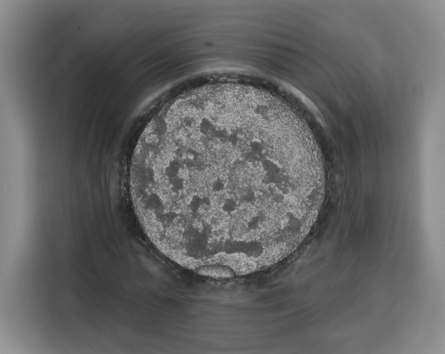 X0000115130775200911241445