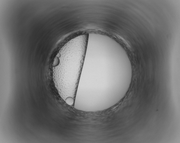 X0000115130776200911241445