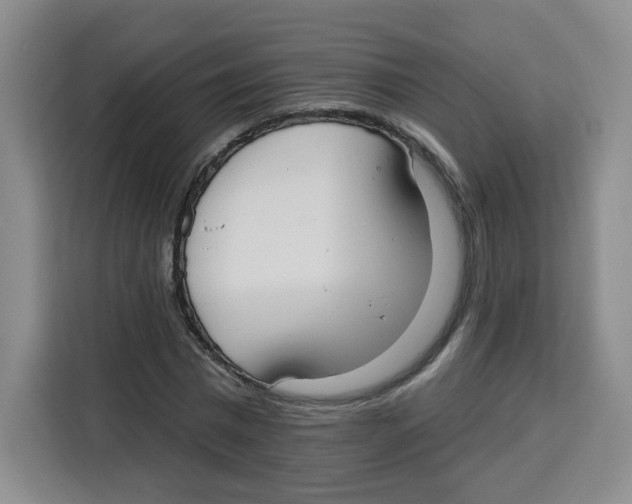 X0000115130777200911241445