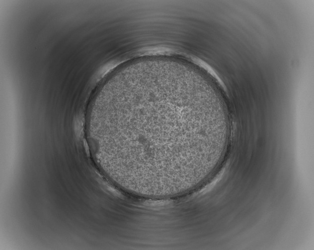 X0000115130778200911241445