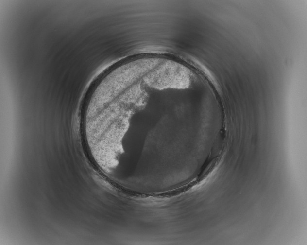 X0000115130779200911241445