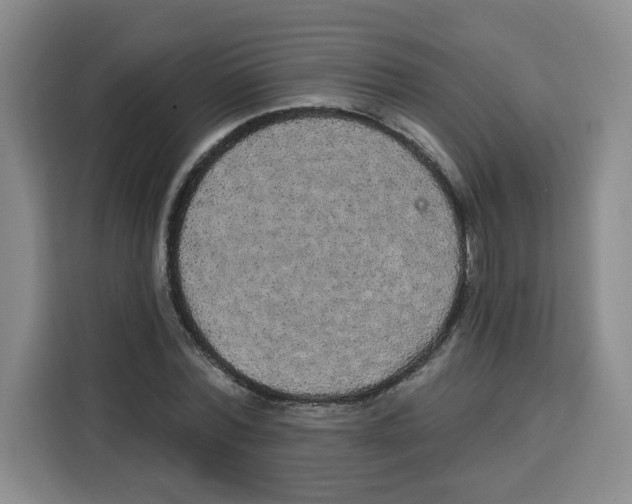 X0000115130780200911241445