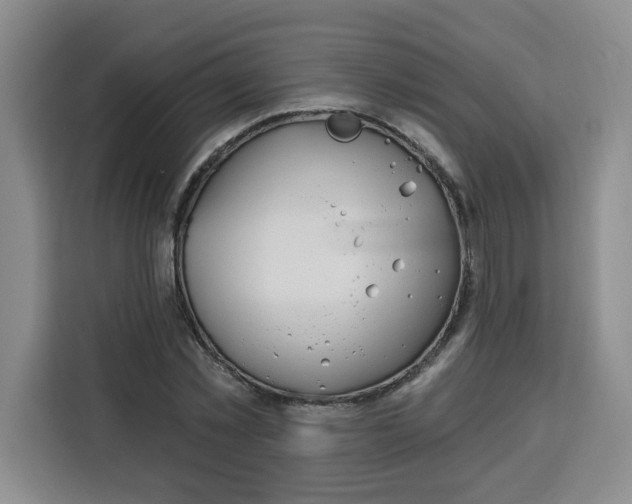 X0000115130781200911241445