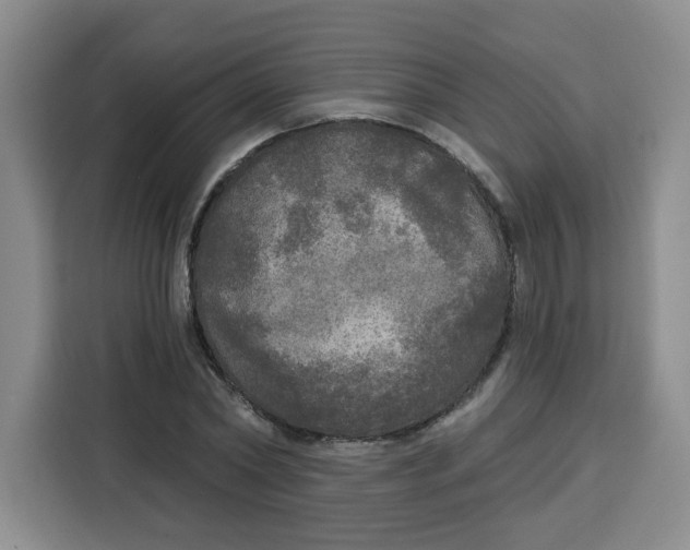 X0000115130782200911241445