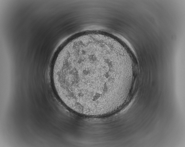 X0000115130783200911241445