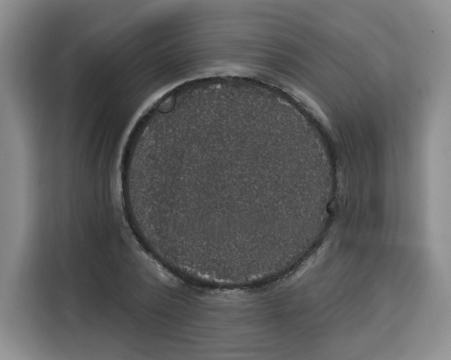 X0000115130784200911241445