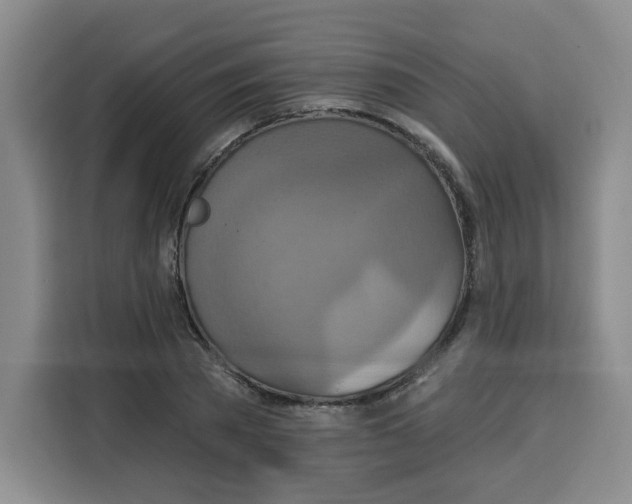 X0000115130785200911241445