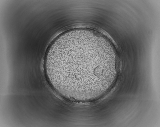 X0000115130786200911241445