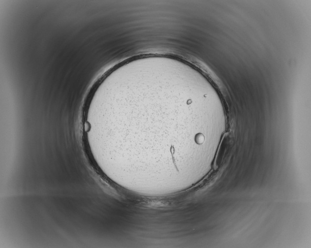 X0000115130787200911241445