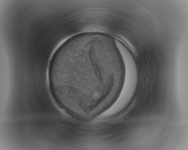 X0000115130788200911241445