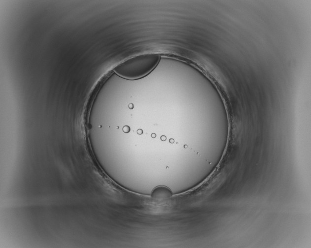 X0000115130789200911241445