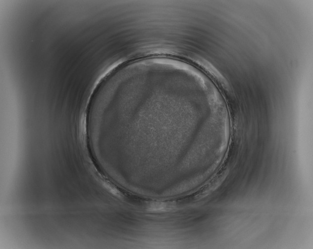 X0000115130790200911241445