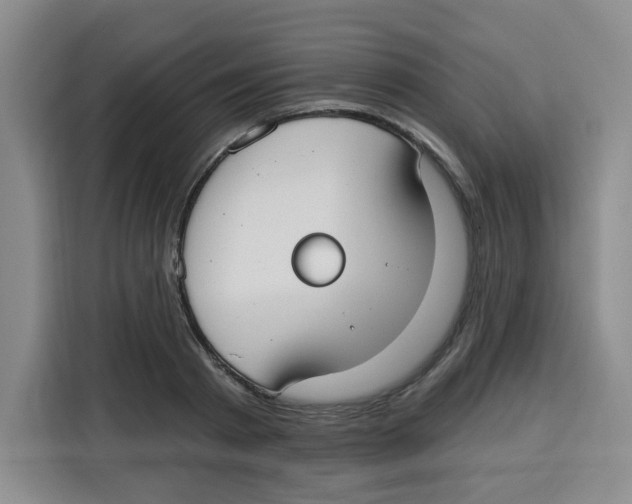 X0000115130793200911241445