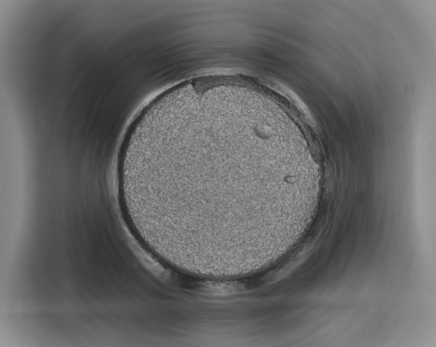 X0000115130795200911241445