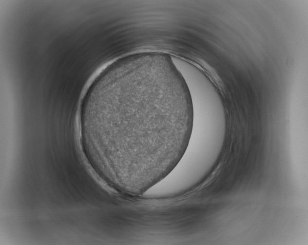 X0000115130796200911241445