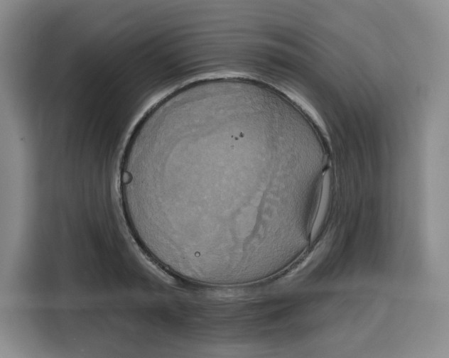 X0000115130797200911241445