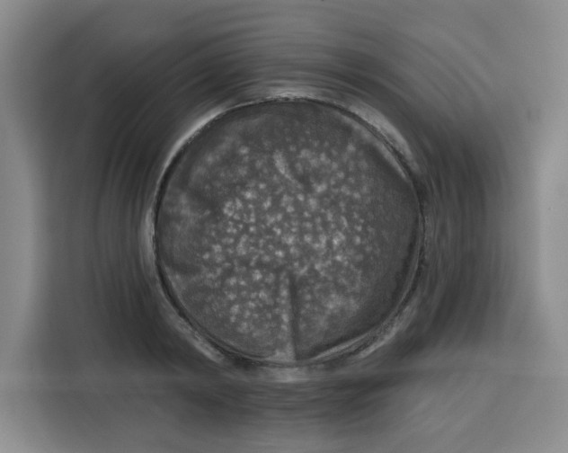 X0000115130798200911241444