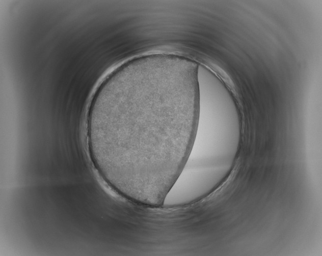 X0000115130800200911241444