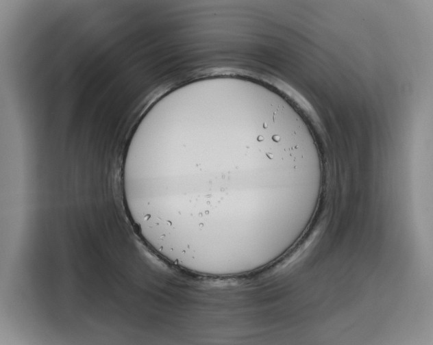 X0000115130801200911241444
